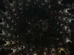 Quelle pornofilme gratis sehen Famille! Bordel