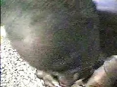 japanese pornovideo umsonst milchig Tittes