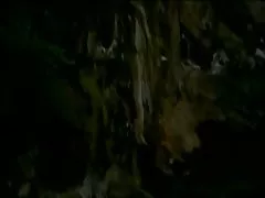 Gewährung private sexfilme kostenlos Her Schwarz Fantasie