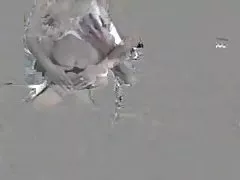 Sexfilme kostenlos und ohne anmeldung domina teresa !!