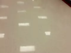 Hotlegs-asian kostenlose sex videos ohne registrierung Facesitting