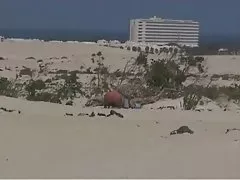 Sex porno filme sexy indian big ass freundin