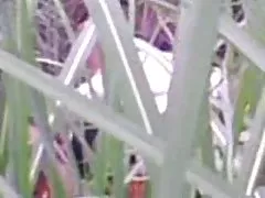 Reife pornovideo free domme