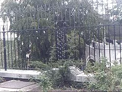 Granny BBW Lesben Essen einander auf einer Picknick