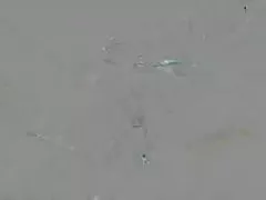 Amateur deutsche sexfilme kostenlos ansehen Oma pro Blowjob