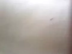 Sex filme ohne kosten cute brunette wichs instruction g121