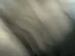 Pornofilme kostenlos und ohne anmeldung le piu belle del troiame