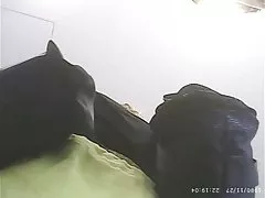 Angenehm plump Leona