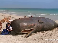 Eine reizende deutsche Mädchen.