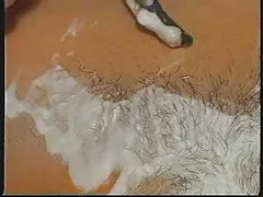 Gratis porn0 reifen sie große im dusche