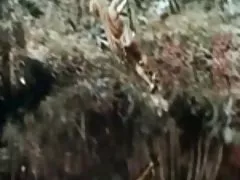 Free nackte junge frauen 78 jahre alte immer bereit, mich ficken!