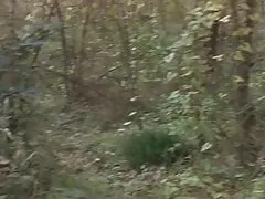 Free gratis porno geile mama