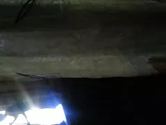 Sharon deutsche privat pornos Mitchell Strap On