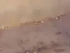 französische mature frauen Reifen