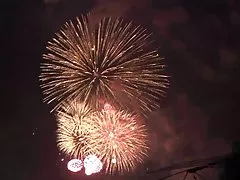 Alter Sack, junge Küken 5