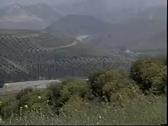 Mrs. pornofilme com Morgan extrahiert Sperma von ihrem geliebten scheiß Stick.