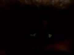 Porno fielme nurumassage petite blonde blowjob slippery