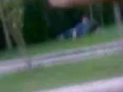 Abitur kostenlos pono Zeugnis - BSD