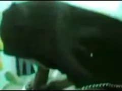 Mika Tan - Fuck Lehrer