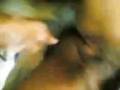 Big und vollbusige schöne schwarze BBW Babe