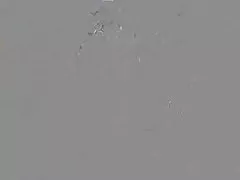 Mama deutschsprachige pornos kostenlos wird gefickt von ihrem bf