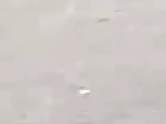 Ebony www gratissexfilme Clit Squirters