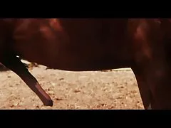 Handjob, softporno free Blowjob, Cumshot und einige weitere handjob