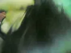 Alessandra porno sex filme Aparecida da Costa Vital (AACV 095 de 374)