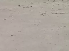 GRANNY online gratis porno FUCKED OUTDOOR 03