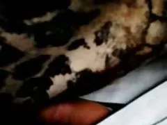 Moana sex filme umsonst Pozzi &amp;amp; amp; ROCCO 1991 - COMPLETE FILM -B $ R