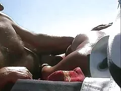 Haponesa 0229 - = fd1965 = -0379