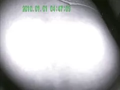 Beauty Japanese Milf Wet Hairy Asian Muschi lecken und Fingered