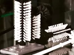 Große Brüste Schönheit Schwanger gefickt