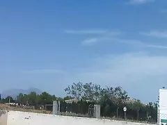 Nizza Busch Umziehen