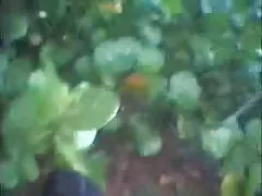 Domina schöne reife votzen Verwendet Pferd Größe Strapon