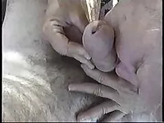 Hübsches kostenlose sexvidios Hairy Indian Coed Lucinda Teasing