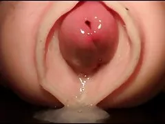 Handyporno gratis lalpari gaand ficken sexxcguy