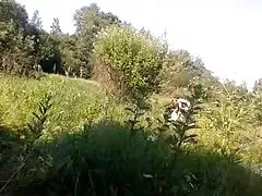 Sexy clips kostenlos er bringt sie nach hause, um ihre freche pussy pumpen