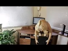 Xxx clips nicht für handjob sprechen