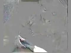 Deutsche sex filme kostenlos bbw dominas lenka und leny ficken ihre skinny slave