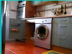 Porno online gratis stieftochter in law natsume von mrbonham (teil 1)