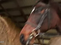 Reife tanten four sexy girls nackt ausziehen on stage fÜr einen frÜhjahrsferien