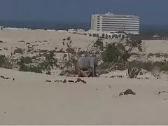 Geile weiber privatorgie