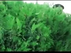 Weinlese geile fette weiber Die Nichten 2 N15