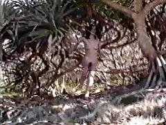 Schöne nackte mädchen sexy junge chubby .....