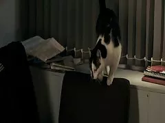 Hot porno film Black Girl Anal.By PornApocalypse