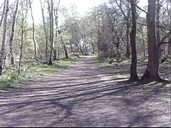 Erotische filme kostenlos fünf fantastische fist fucking &amp;amp; amp; extremfick clips