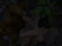 Bilder reife damen big frechen tits und rosa brustwarzen babe streifen und finger