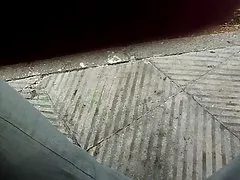 Süße Japanische junge Mädchen ist Spaß