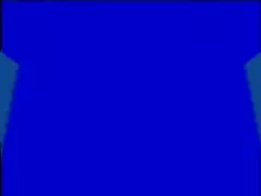 Mensturation - Japanese